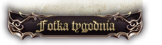Fotka Tygodnia